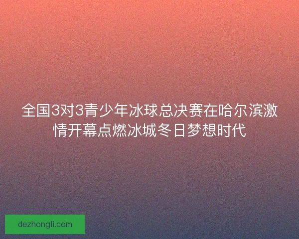 全国3对3青少年冰球总决赛在哈尔滨激情开幕点燃冰城冬日梦想时代